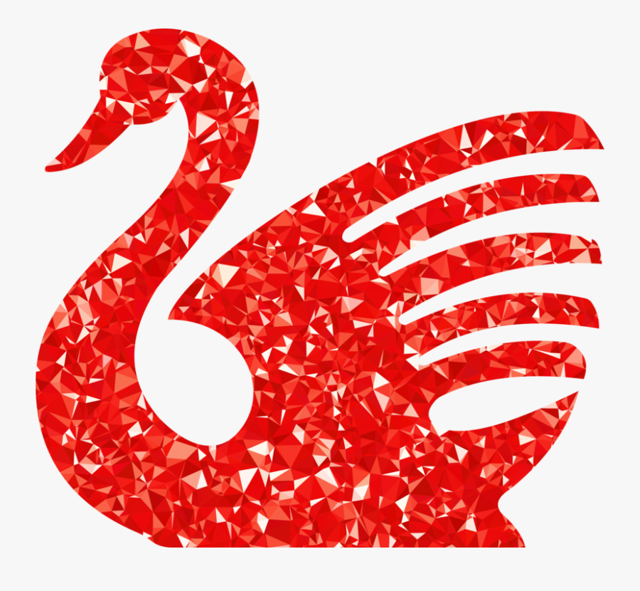 Water Bird,mute Swan,goose - Red Swan Drawing, Transparent Clipart