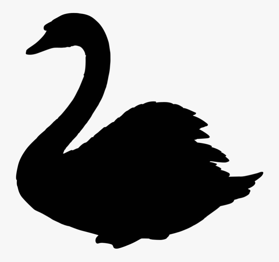 Swan Clipart Transparent Background - Black Swan Transparent Background, Transparent Clipart