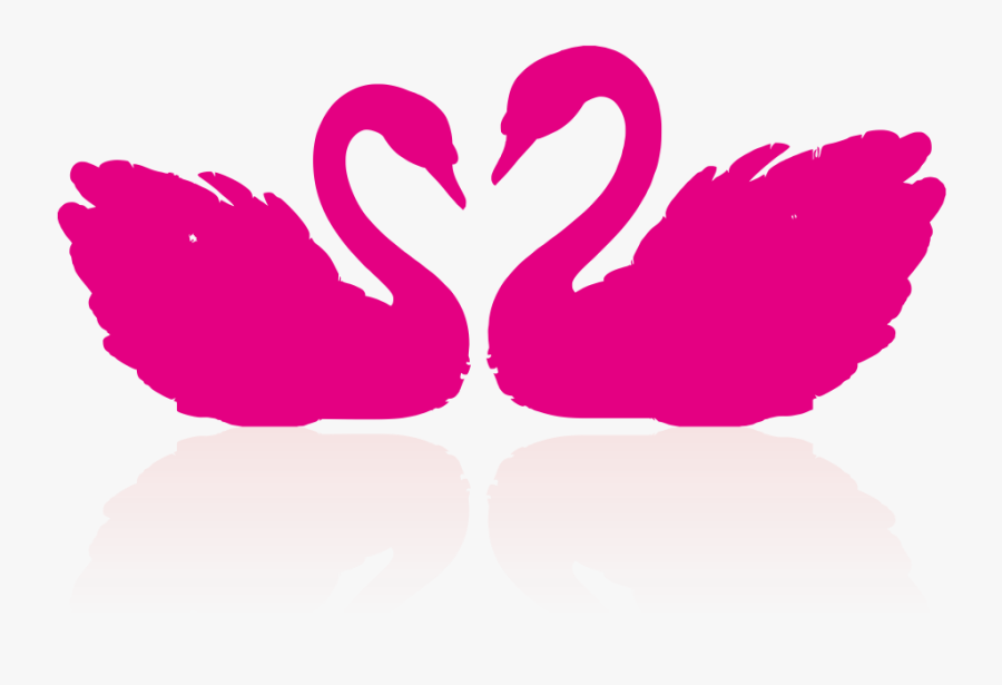 Cygnini Drawing Clip Art - Couple Swan Png, Transparent Clipart