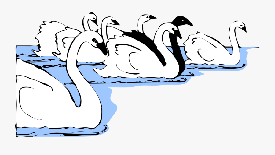 Art,text,beak - Schwäne Clipart, Transparent Clipart
