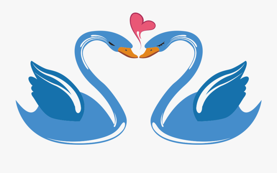 Swan Love Cartoon - Swan Cartoon, Transparent Clipart