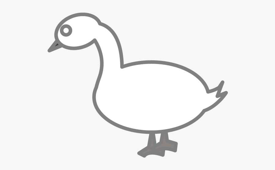 Duck, Transparent Clipart