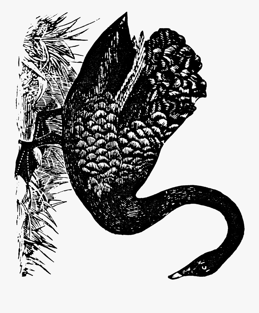 Illustration, Transparent Clipart