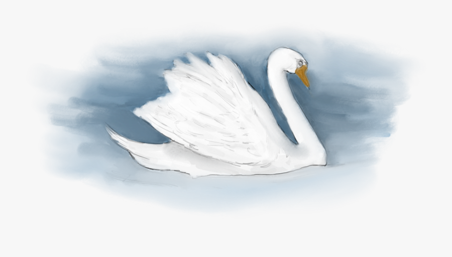 Tundra Swan, Transparent Clipart