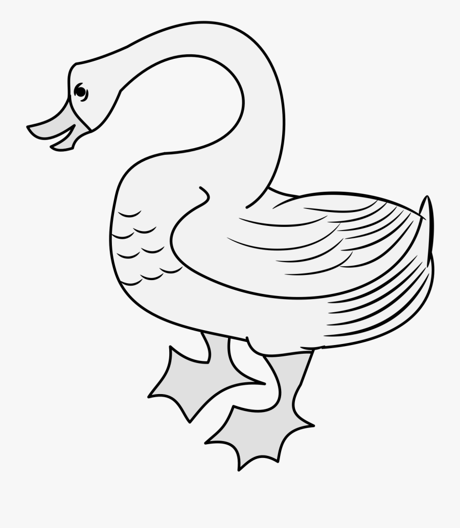 Duck, Transparent Clipart