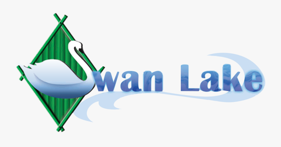 Graphic Design, Transparent Clipart