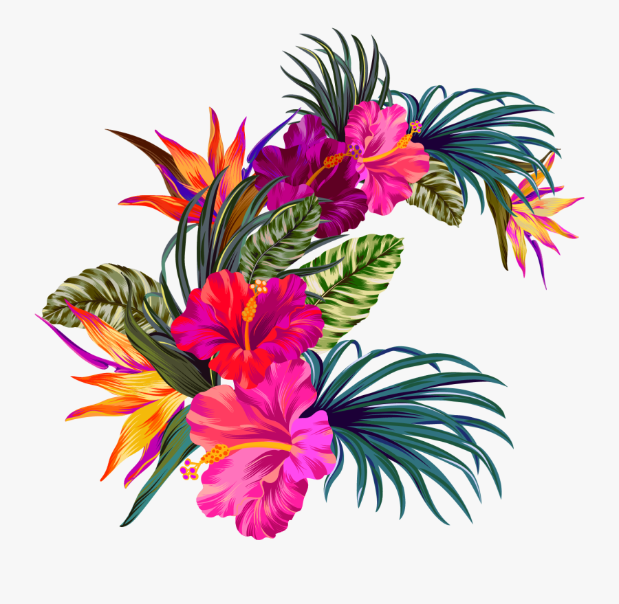 Tropical Flowers Illustration Vintage, Transparent Clipart