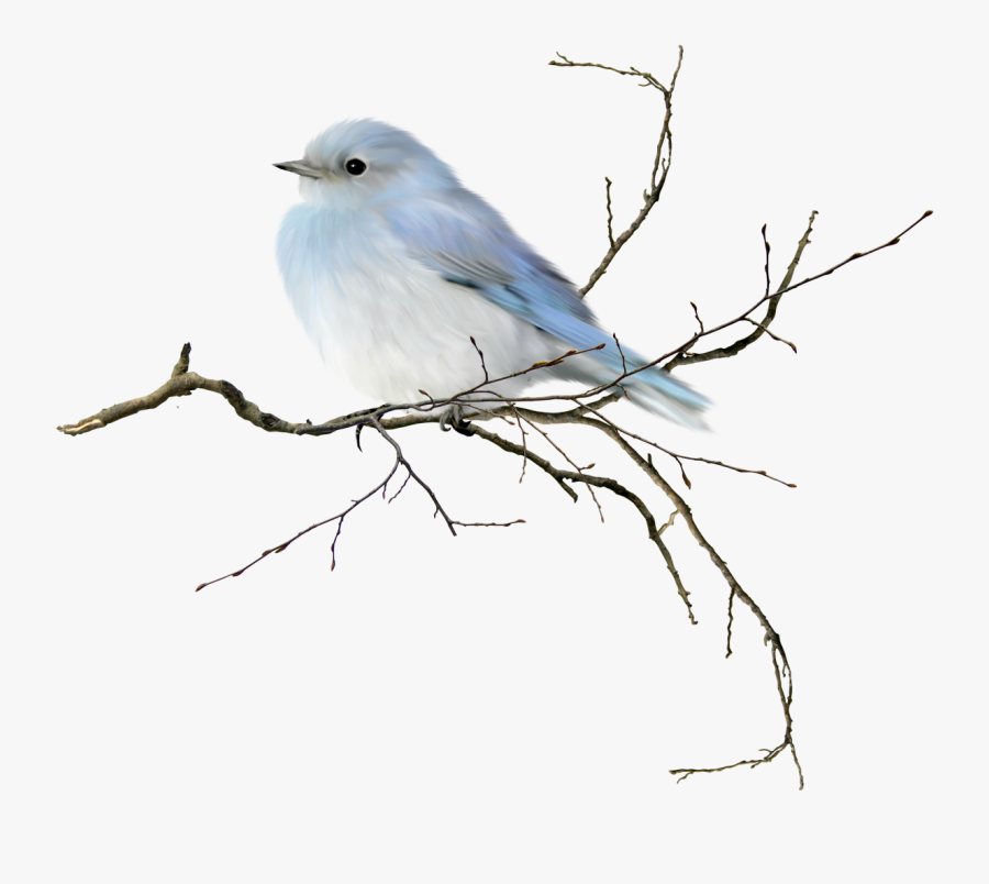 Love Birds Clipart Frame Png - Blue Bird Watercolor Png, Transparent Clipart