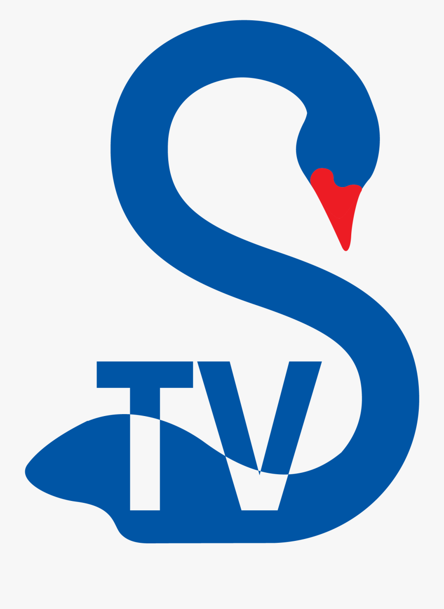 Black Swan, Transparent Clipart