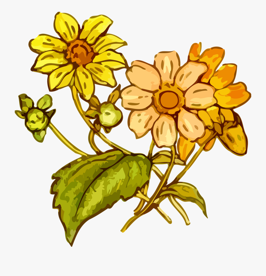 The Best Drawings Of Wild Flowers - Yellow Flower Drawing Png, Transparent Clipart