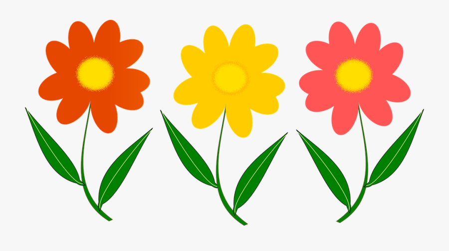 Plant,tagetes,plant Plant - Colourful Flowers To Print Out, Transparent Clipart