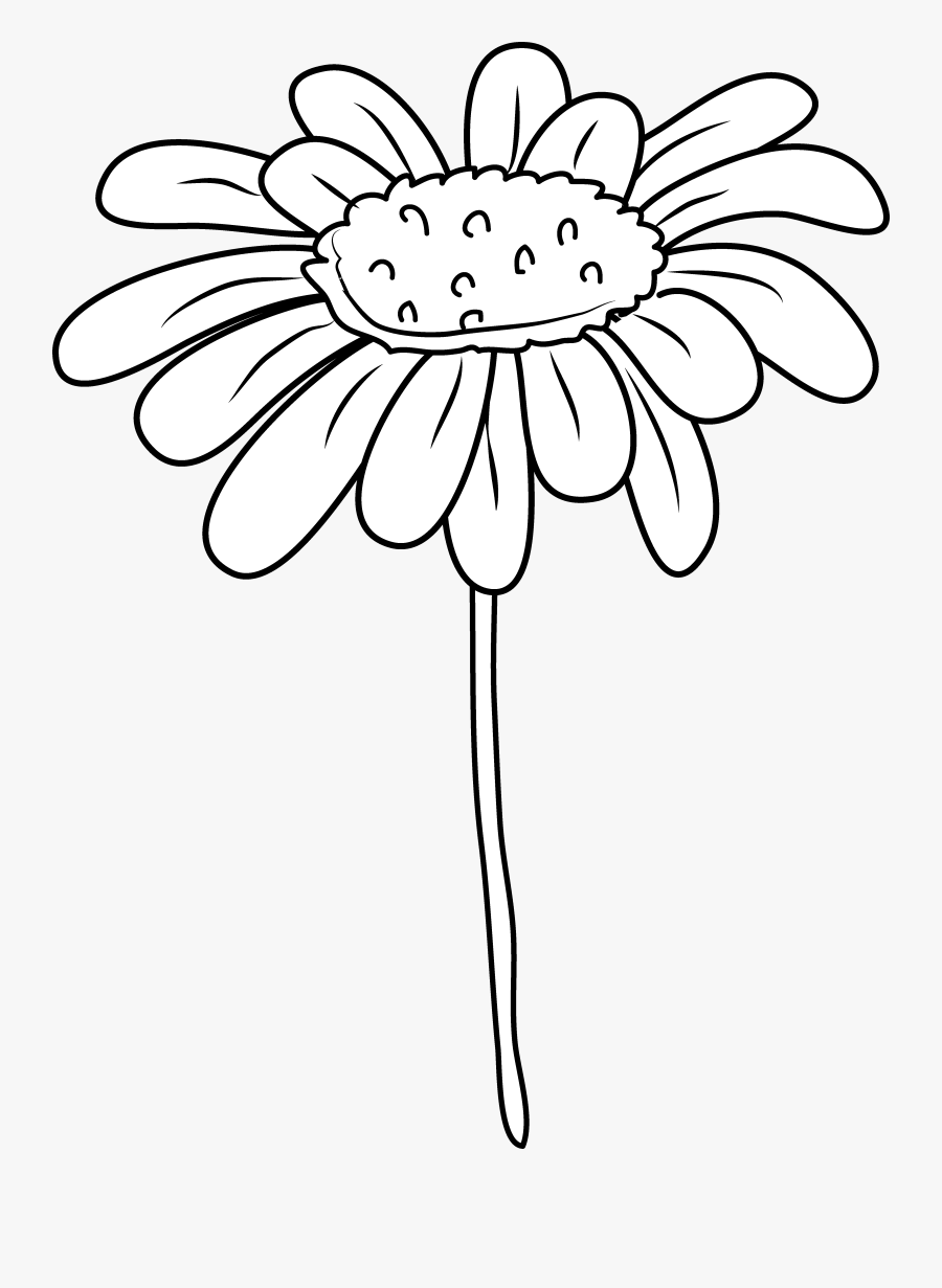 Daisy Flower Coloring Page - Clip Art, Transparent Clipart