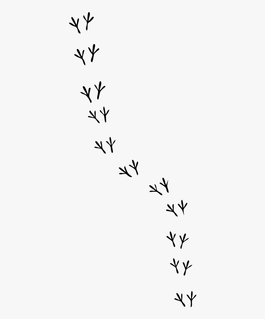 Transparent Footprints Snow Png - Bird Foot Print Drawing, Transparent Clipart