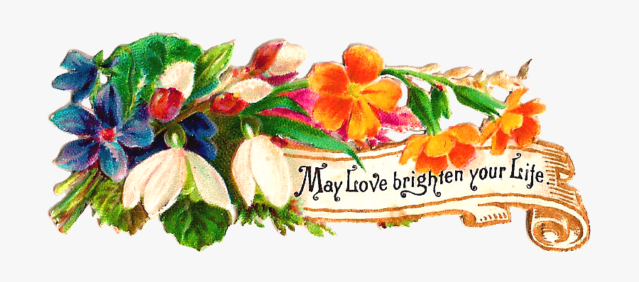 Illustration, Transparent Clipart