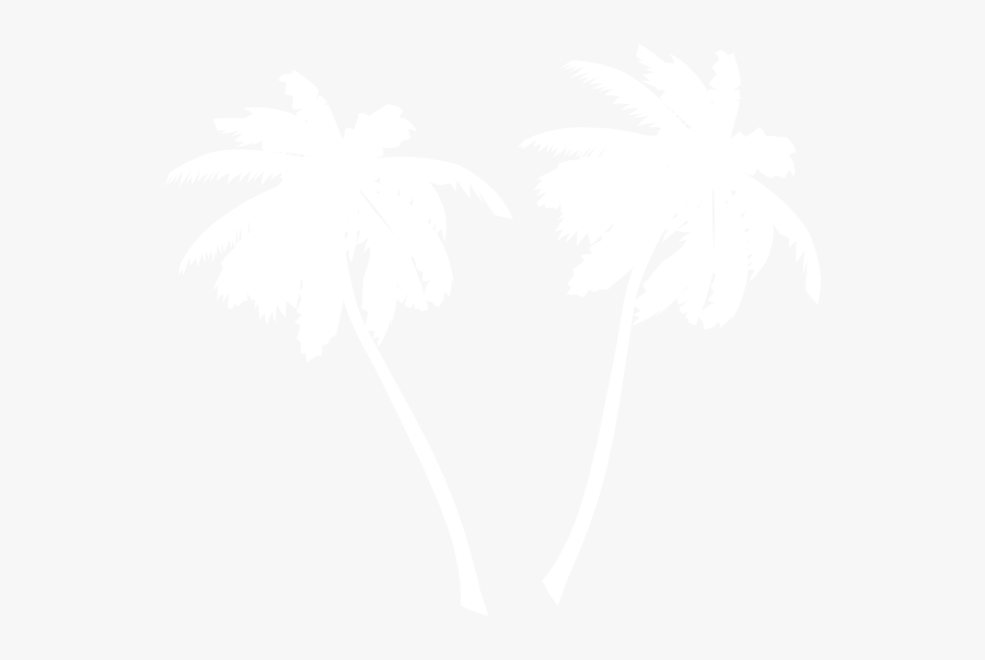 Trees Clip Art At - Vector Palm Tree White Png, Transparent Clipart