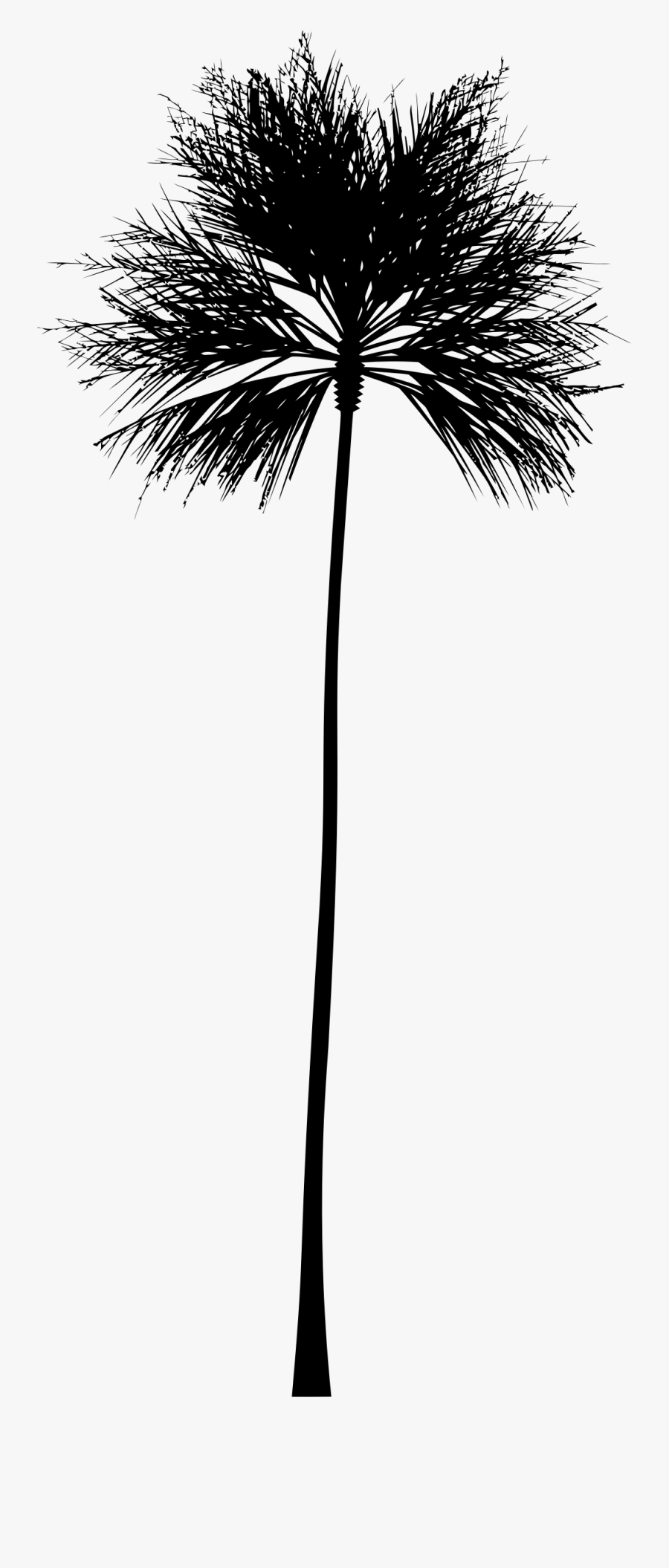 Palm Tree Silhouette - Do A Palm Tree Silhouette, Transparent Clipart