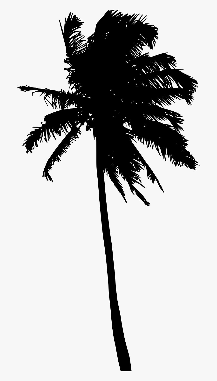 Transparent Palm Trees Clip Art - Palm Tree Black And White Png, Transparent Clipart