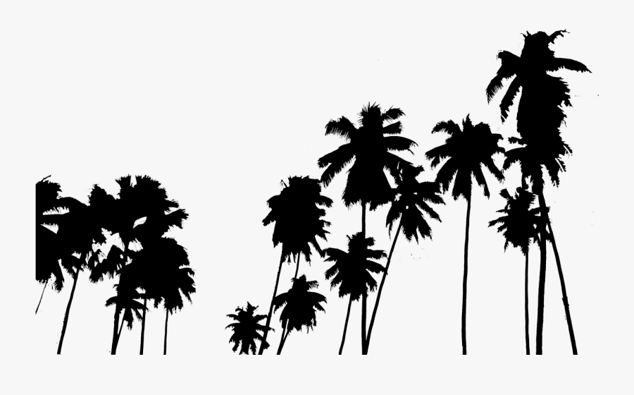 Palm Tree Clipart Panda - Palm Tree, Transparent Clipart