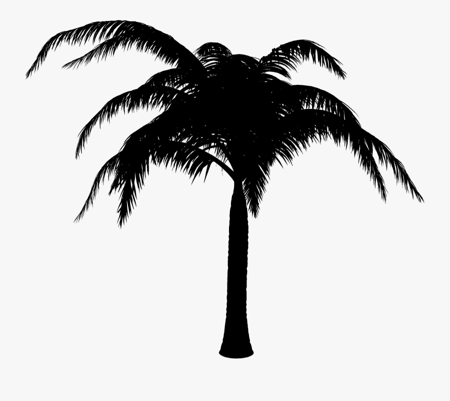 Palm Trees Black & White - Attalea Speciosa, Transparent Clipart