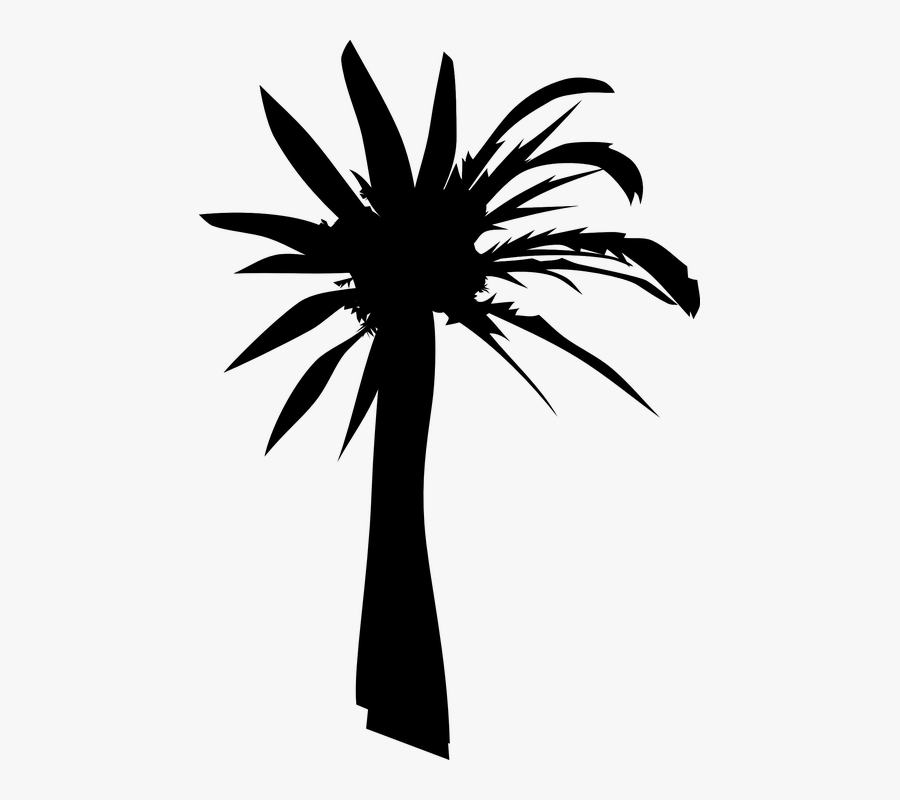 Palm Tree, Silhouette, Summer, Heat, Black - Palm Oil Tree Silhouette, Transparent Clipart