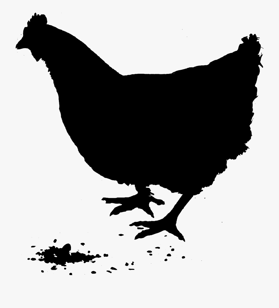 Rooster Silhouette Vector Graphics Chicken As Food - Black Silhouette Rhode Island Red, Transparent Clipart