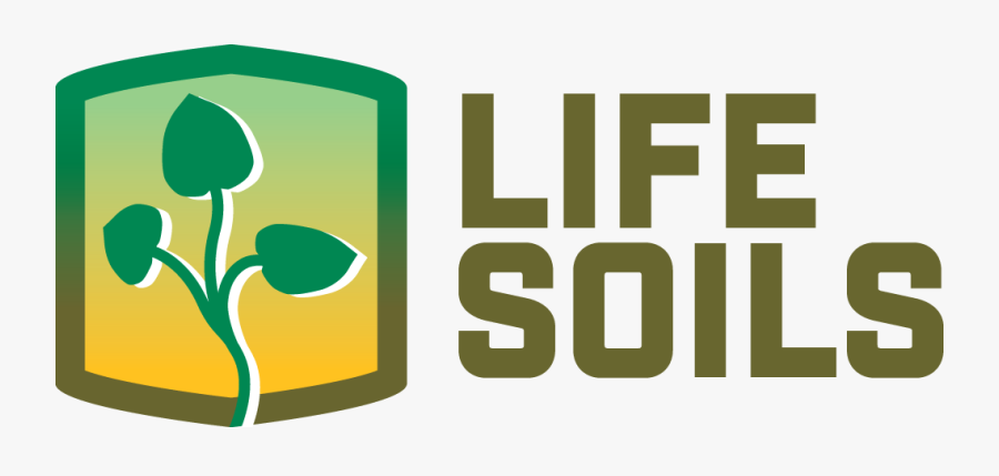 Graphic Design, Transparent Clipart