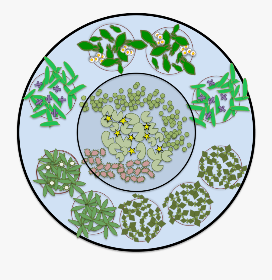 Tyre Pond - Permaculture Edible Water Plants, Transparent Clipart
