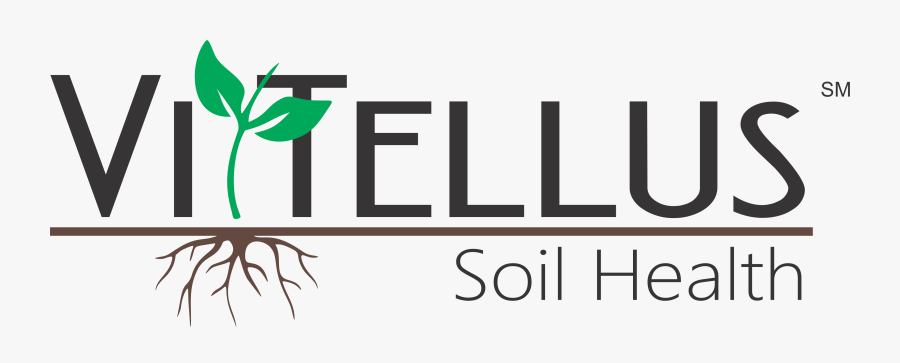 Vittellus Logo, Transparent Clipart