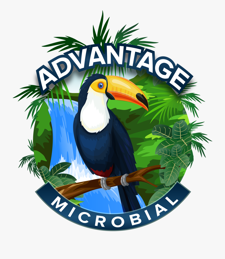 Advantage Microbial™ - Can Stock, Transparent Clipart