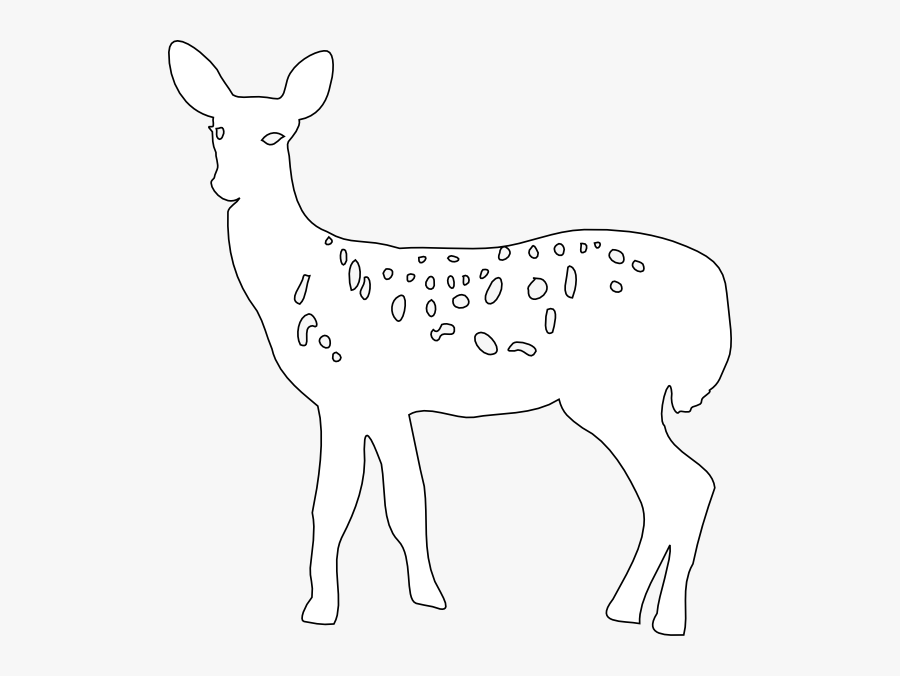 White-tailed Deer, Transparent Clipart