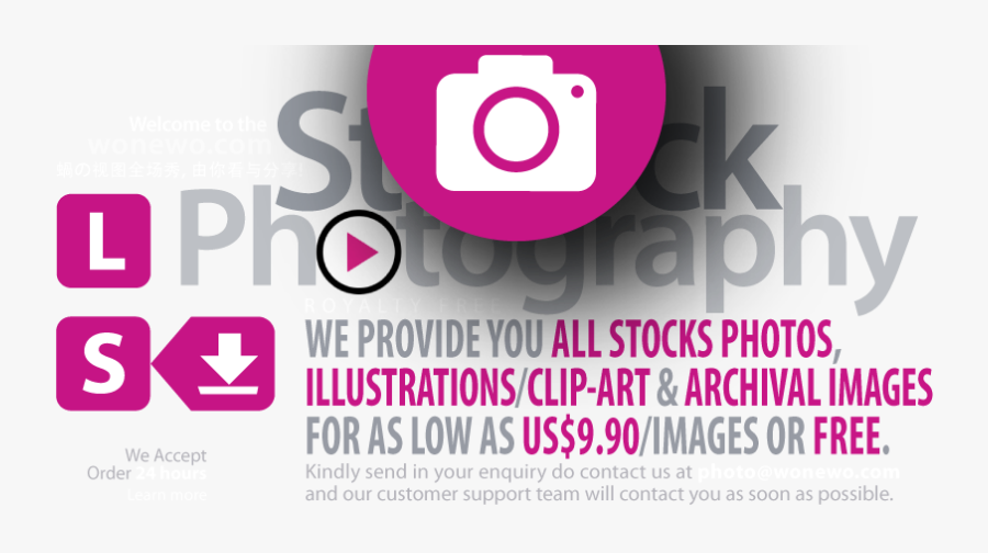 Amnesty International, Transparent Clipart