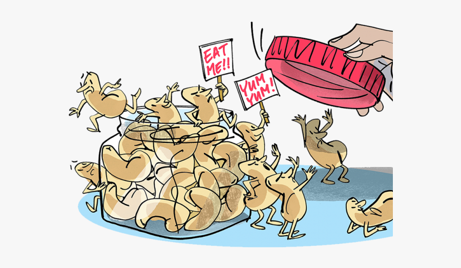 Cartoon, Transparent Clipart