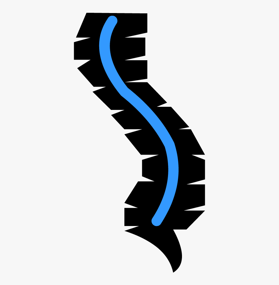 Spinal Cord Icon Png Clipart , Png Download - Spinal Cord Clipart Png, Transparent Clipart