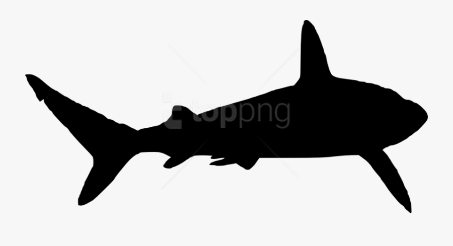 Shark Silhouette Png - Shark Silhouette No Background, Transparent Clipart