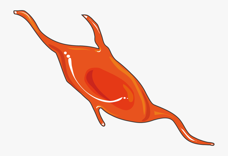 Clip Art, Transparent Clipart