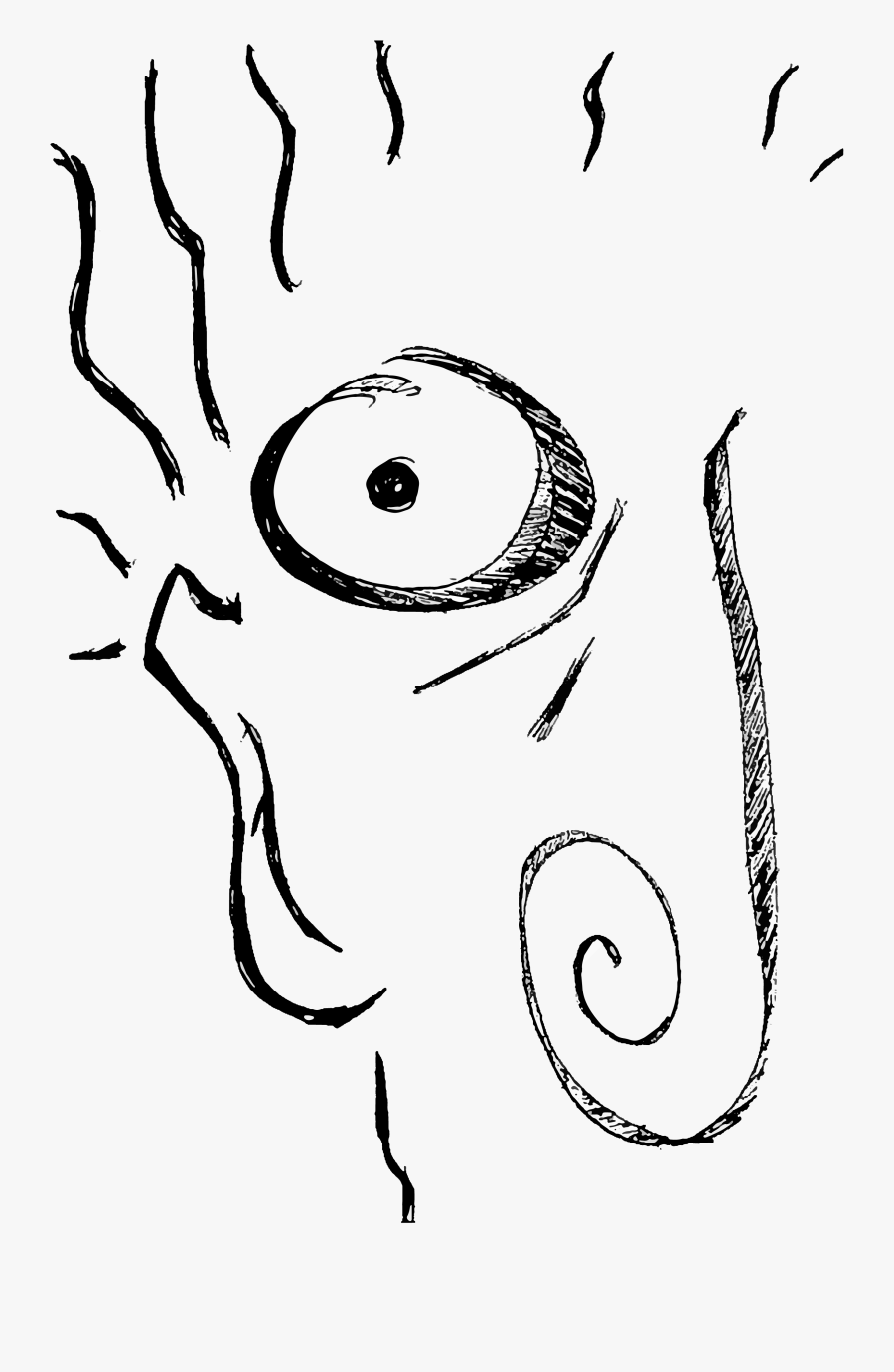 Collection Of Free Spine Drawing Pencil Download On - Sketch, Transparent Clipart