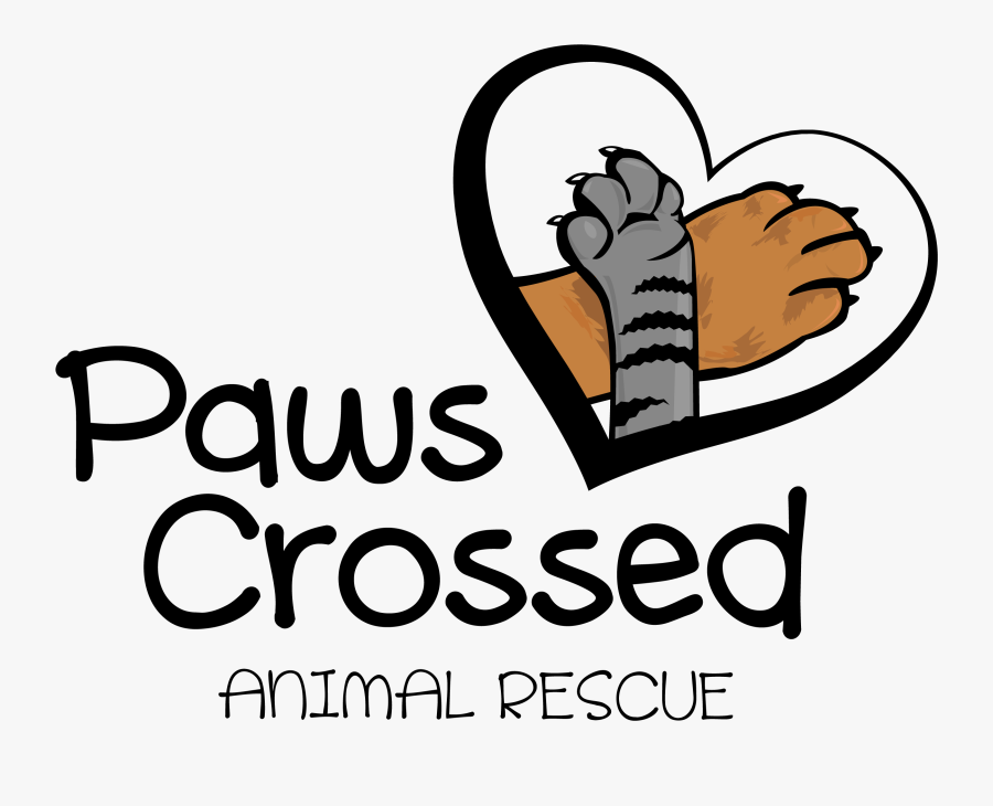 Paws Crossed Animal Shelter, Transparent Clipart