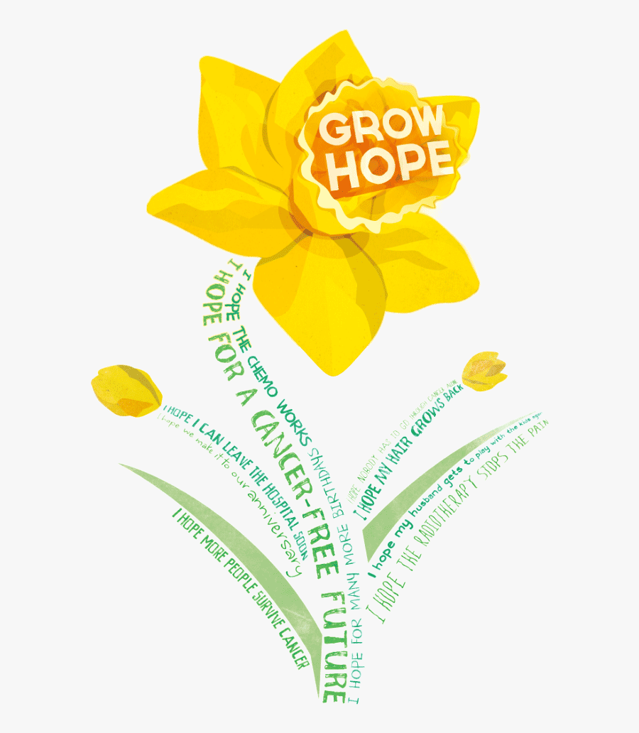 Daffodil Clipart Wind - American Cancer Society Daffodil Days 2018, Transparent Clipart