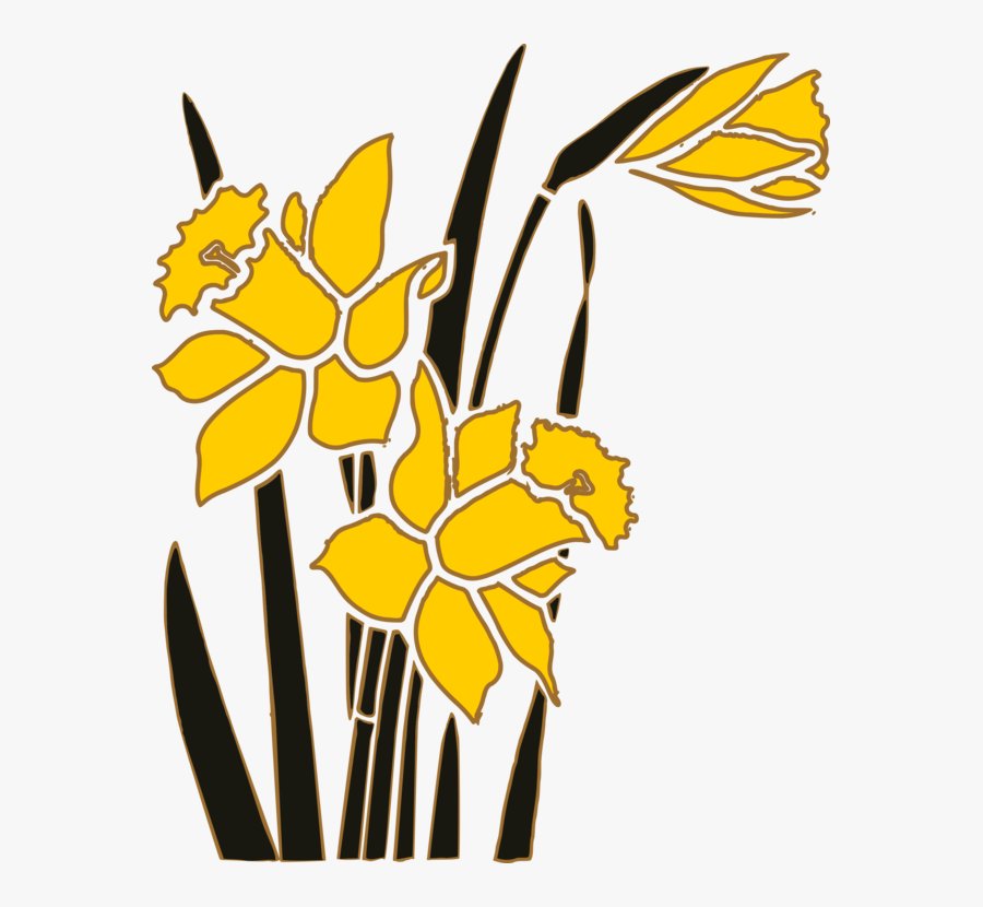 Petal,yellow,graphic Design - Narcissus Graphic, Transparent Clipart