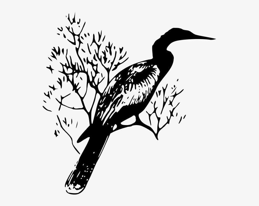 White Tailed Deer Clipart, Transparent Clipart