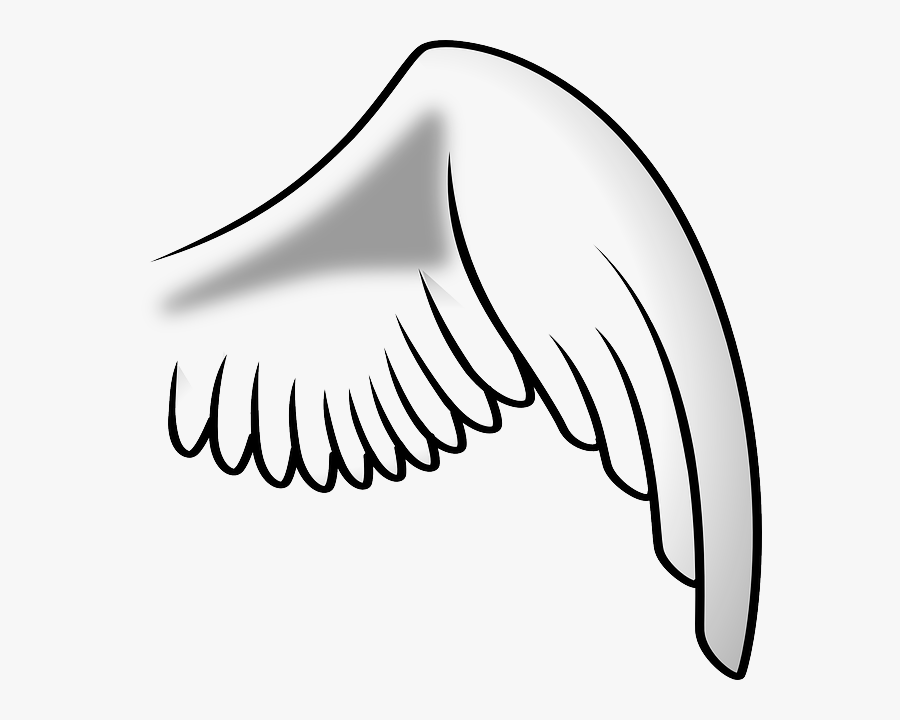 Bird Wing Clip Art, Transparent Clipart