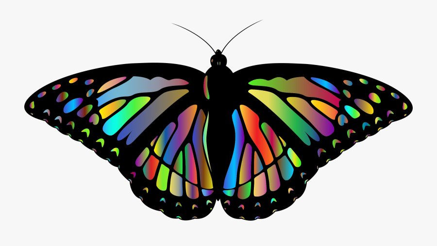 All Photo Png Clipart - Rainbow Monarch Butterfly Png, Transparent Clipart