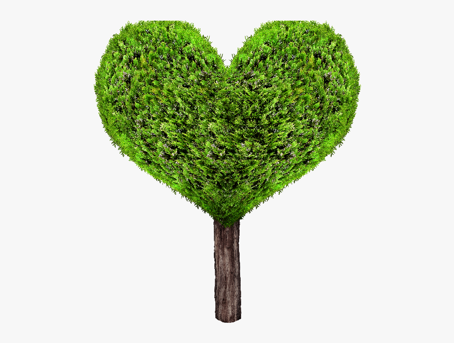 Clip Art Green Png Isolated Objects - Heart Tree Png, Transparent Clipart