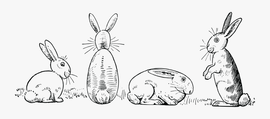 Rabbit Clipart Dutch Rabbit - Rabbits Clipart Black And White, Transparent Clipart