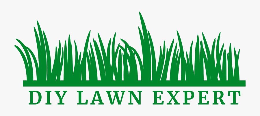 Diy Lawn Expert - Grass Border Clipart, Transparent Clipart