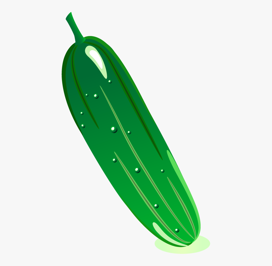 وکتور خیار, Transparent Clipart