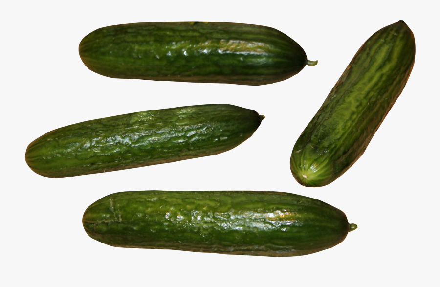 Cucumber, Transparent Clipart