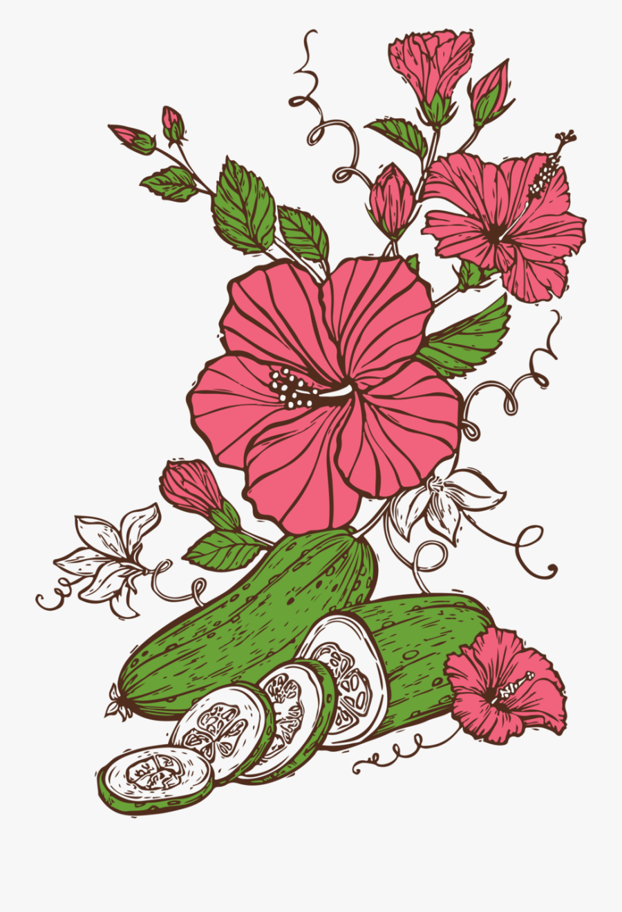 Avery Cucumber Hibiscus Sour, Transparent Clipart