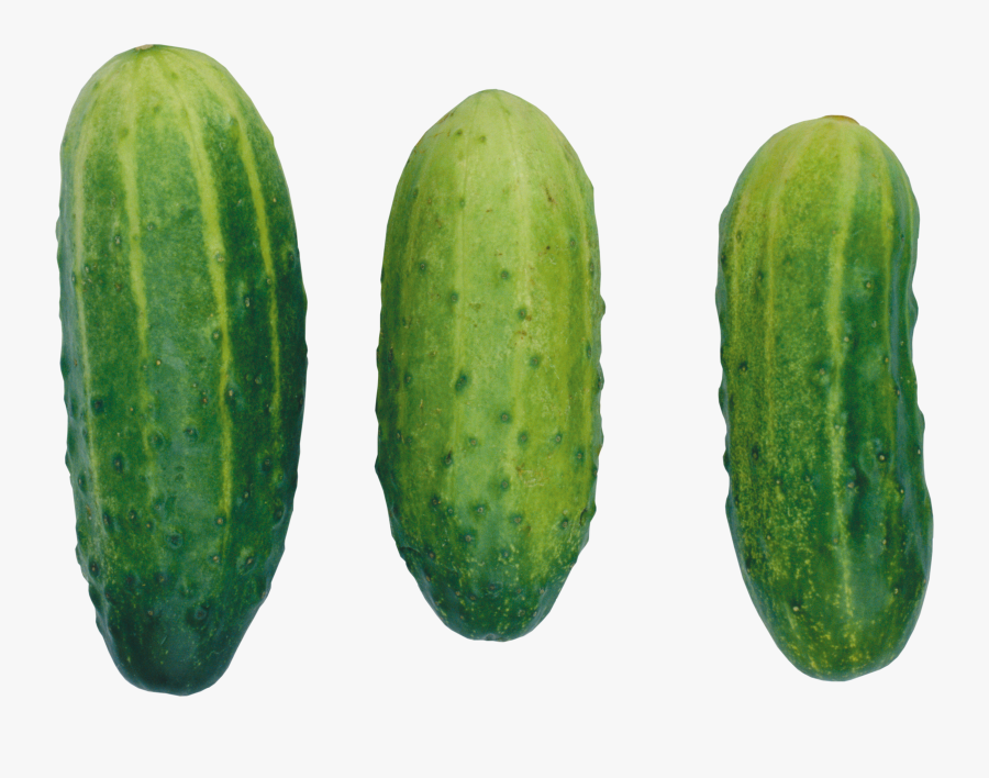 Grab And Download Cucumber Png Picture - Огурец Текстура, Transparent Clipart