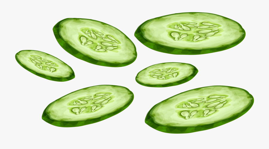 Cucumber, Transparent Clipart
